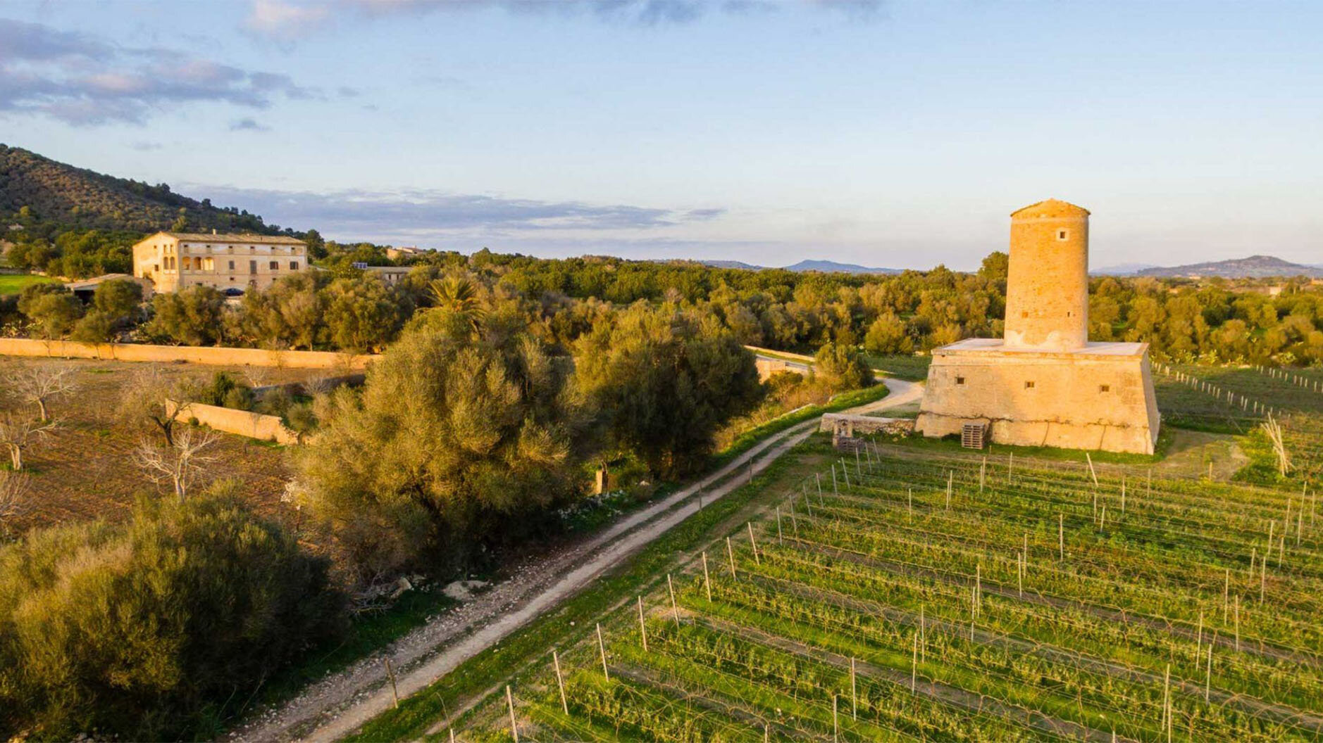 Description Vino de la Tierra de Mallorca