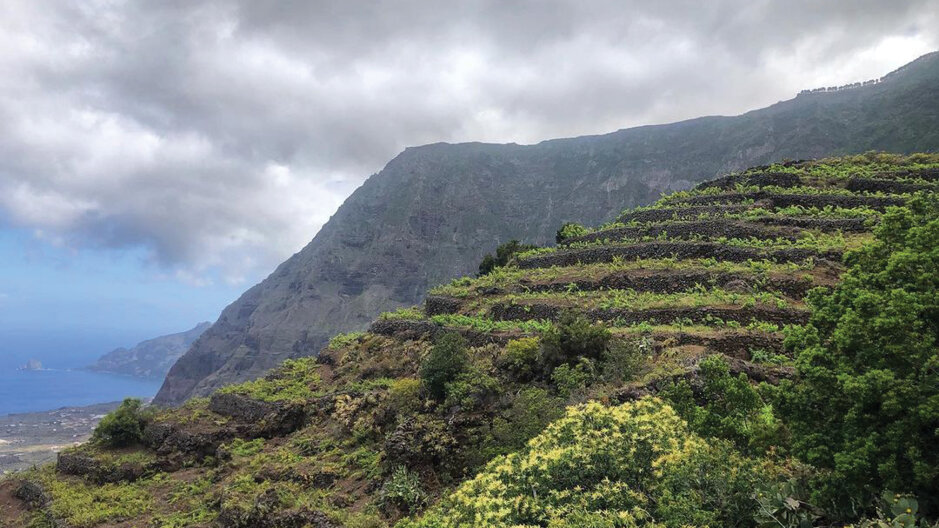 Description D.O. El Hierro