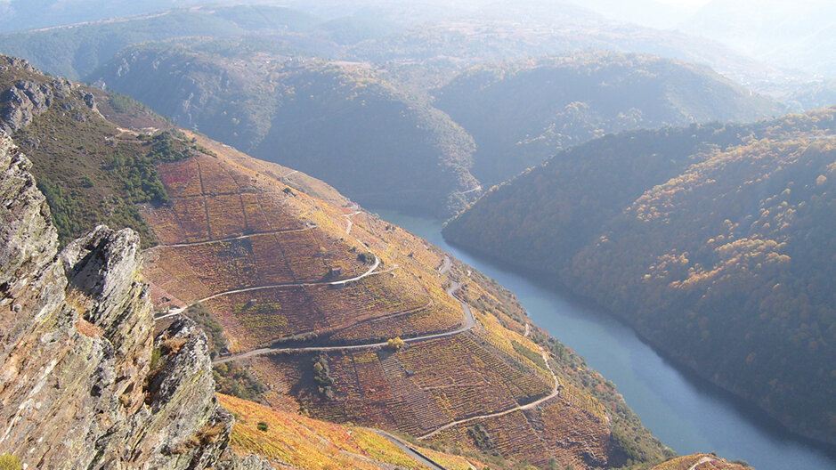 Description D.O. Ribeira Sacra