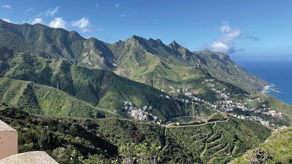 Description D.O. Islas Canarias