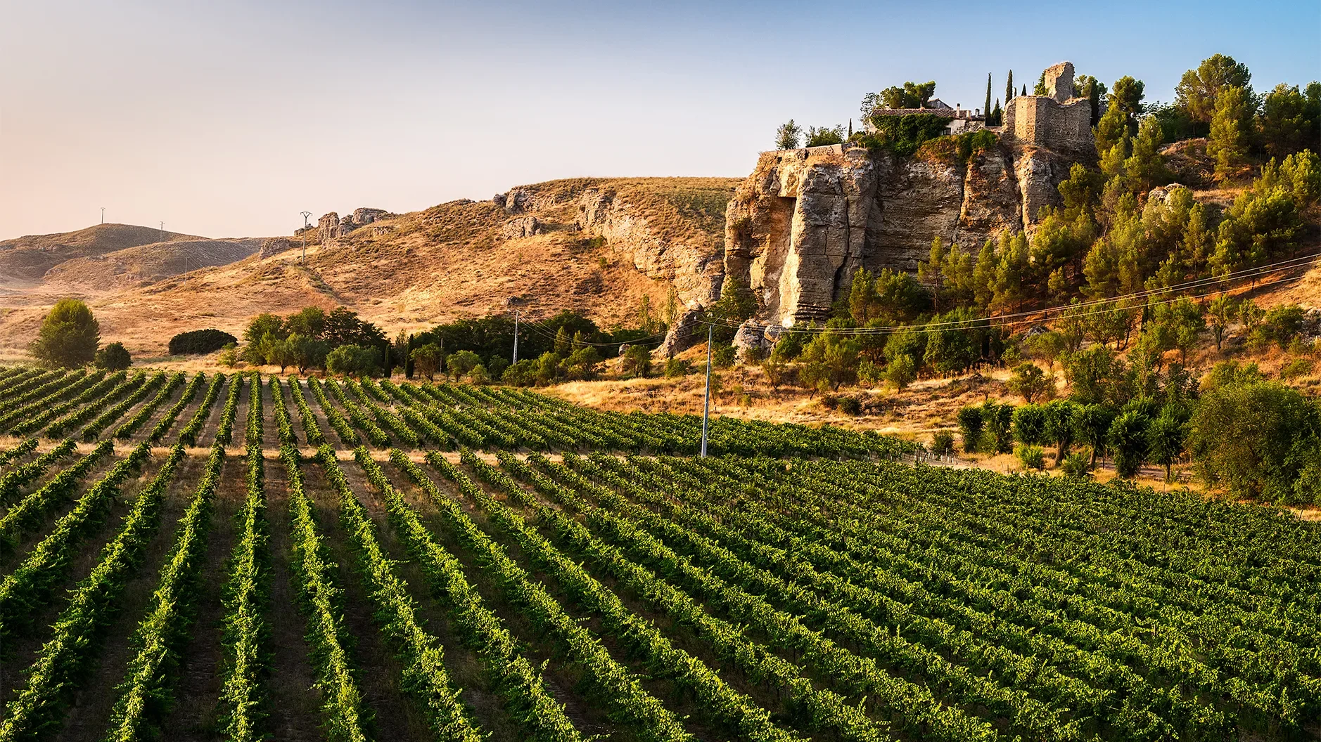 Description Bodegas Licinia