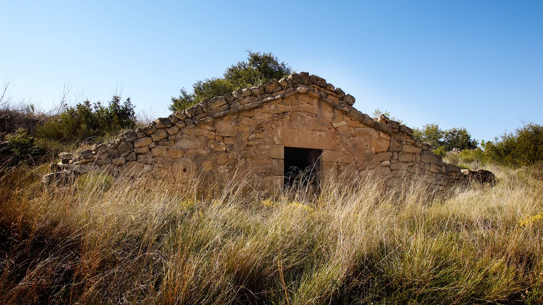 Description Cérvoles