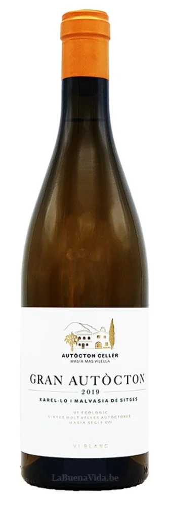 Gran Autòcton blanc