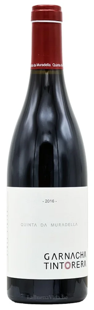 Garnacha Tintorera