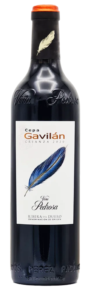 Cepa Gavilán Crianza